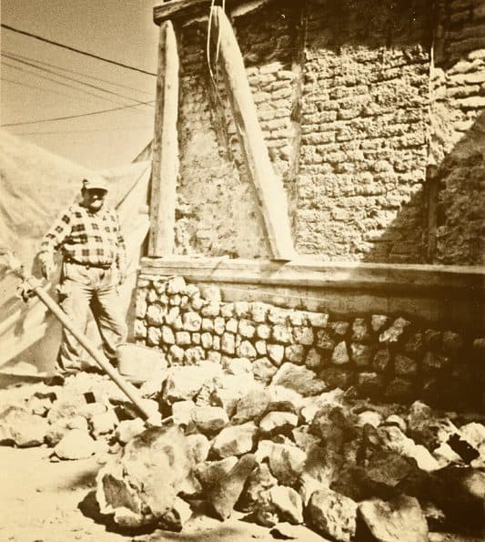 Rani period razvoja Apisa
